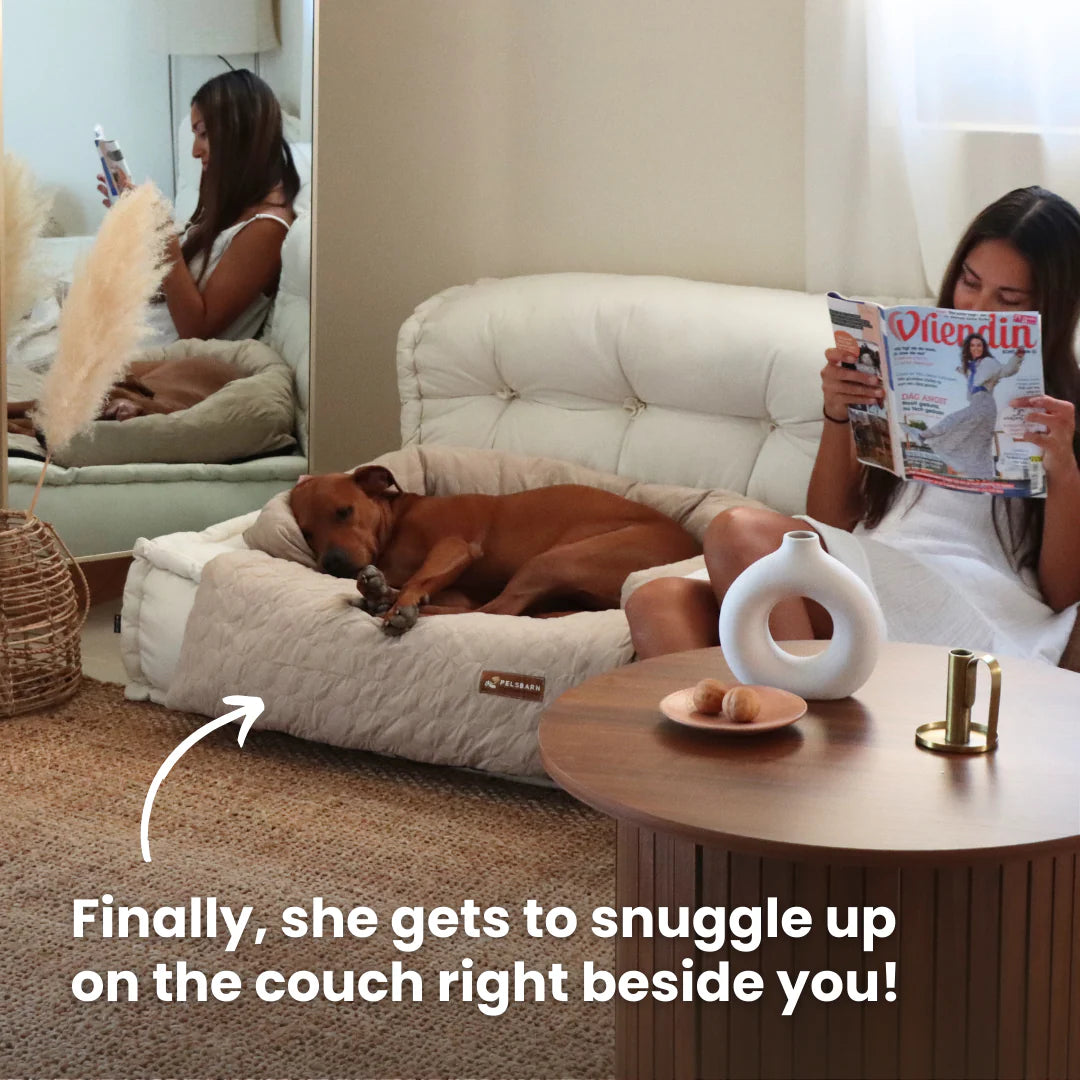 Pelsbarn Cooling Bed (4X More Effective)