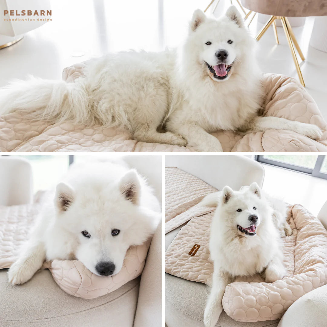 Pelsbarn Cooling Bed (4X More Effective)