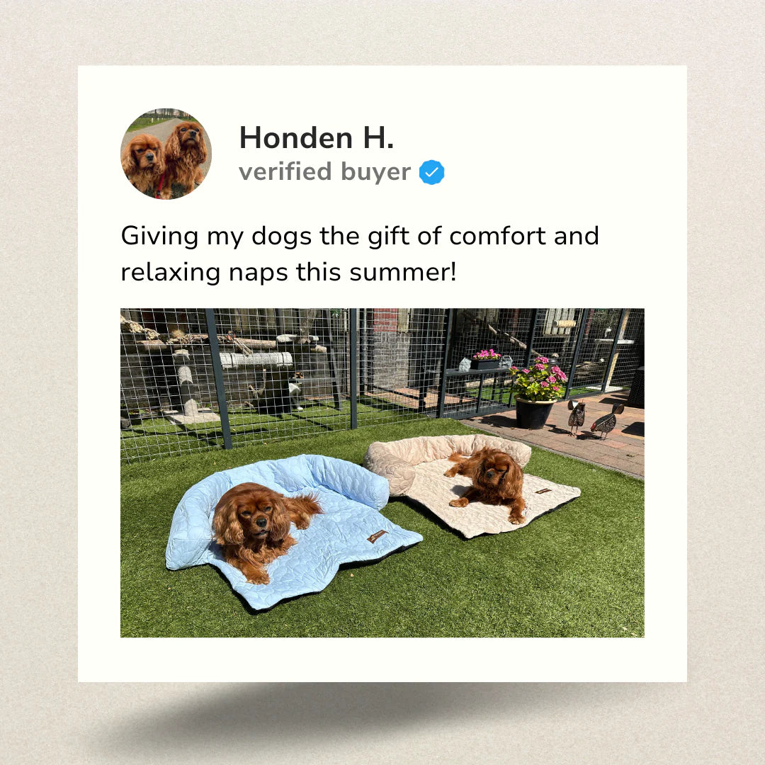 Pelsbarn Cooling Bed (4X More Effective)