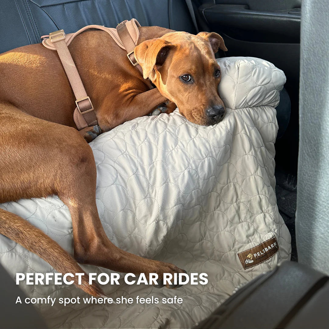 Pelsbarn Cooling Bed (4X More Effective)