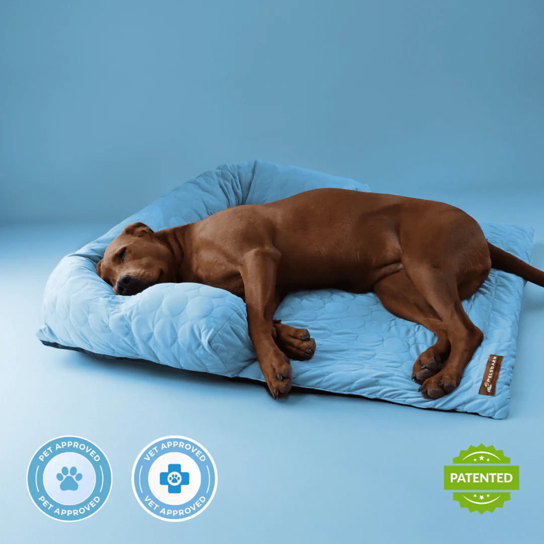 Pelsbarn Cooling Bed (4X More Effective)